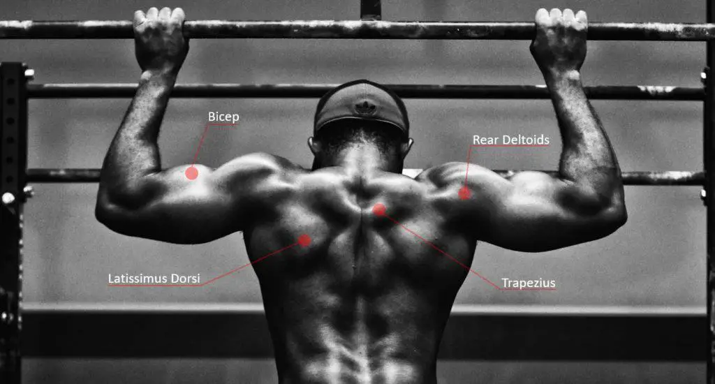 are-pull-ups-good-for-mma-4-pull-ups-variations-you-didn-t-know