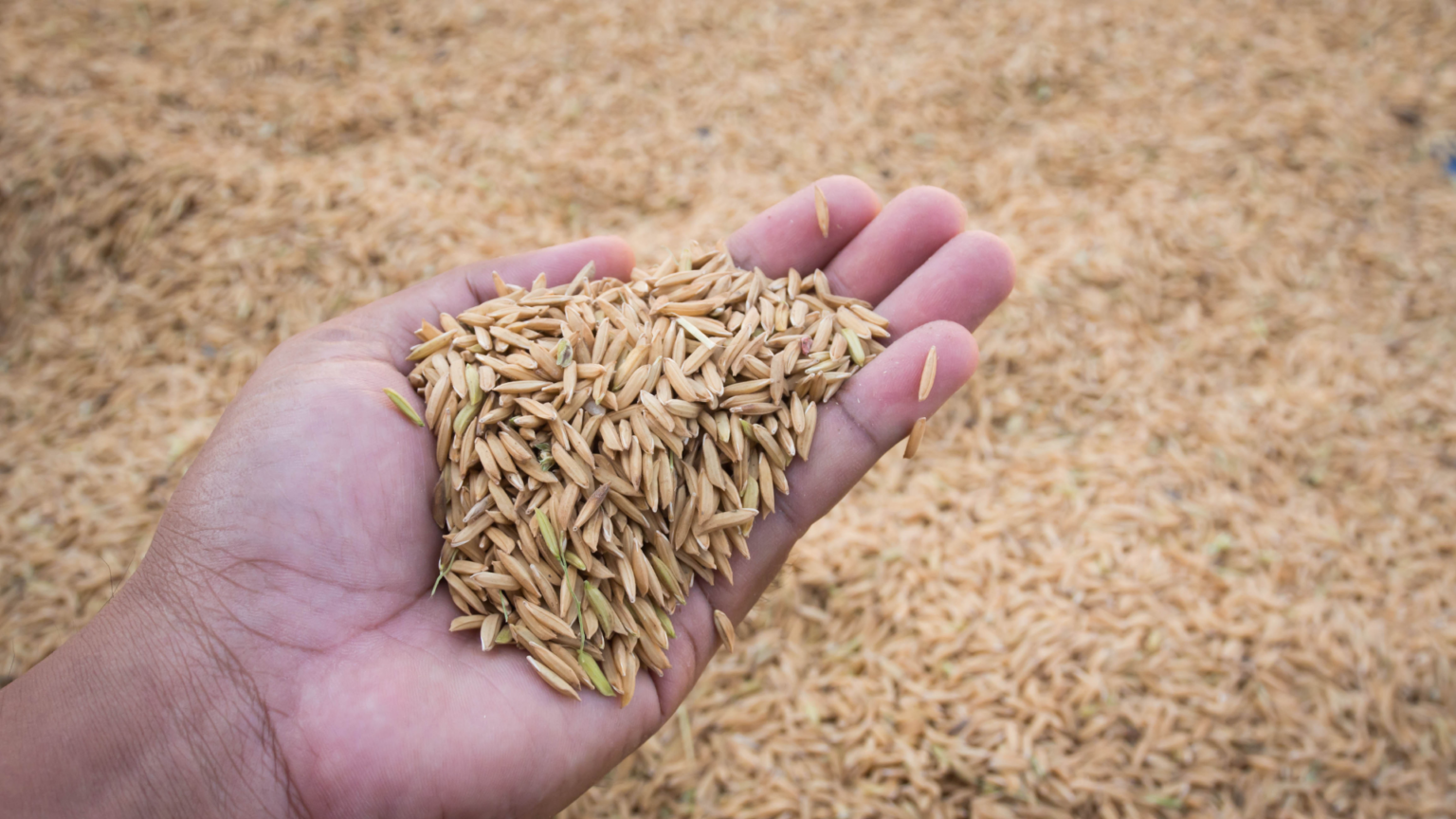 Why Do Boxers Put Their Hands In Rice? 🥊🍚 Fitness To Diet